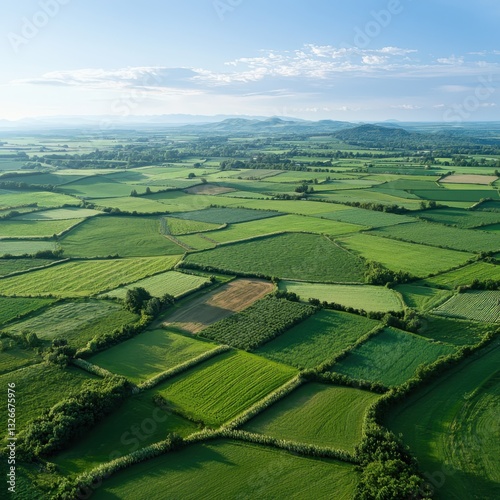 Aerial shot of diverse crop rotation patterns in expansive fields under midmorning light
