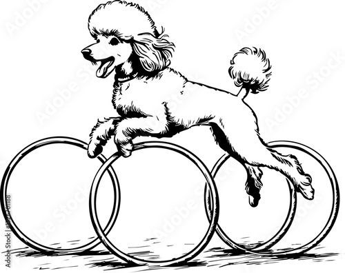 Poodle performing tricks dog show arena illustration whimsical environment side view canine talent showcase