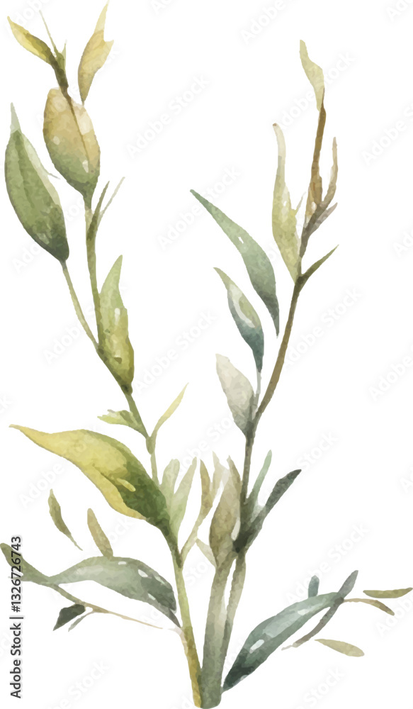 Fototapeta premium Vector Watercolor painted flower illustration. Hand drawn flower design elements isolated on white background.