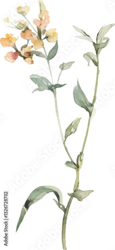 Vector Watercolor painted flower illustration. Hand drawn flower design elements isolated on white background.