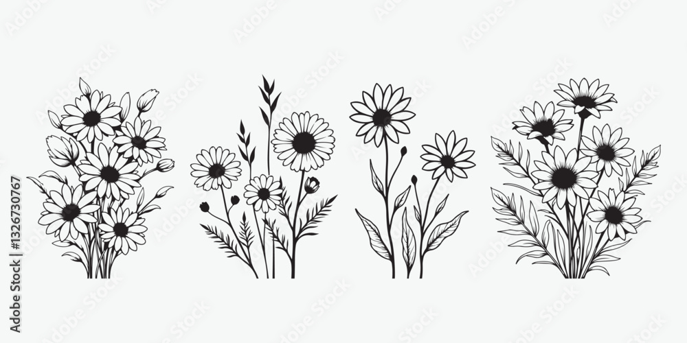Fototapeta Hand drawn chamomile set and daisy floral illustration