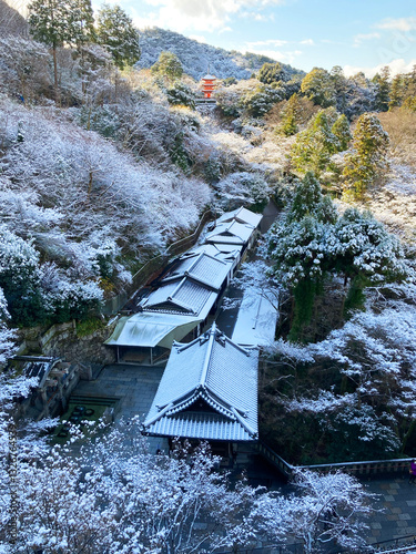 雪の清水寺の風景