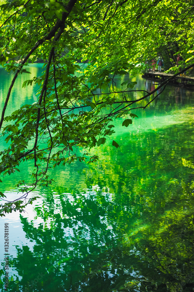Plitvice national park in summer, Croatia Plitvice national park in summer, Croatia