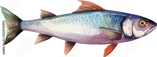 Watercolor painted fish. Hand drawn fresh seafood design element isolated on white background.