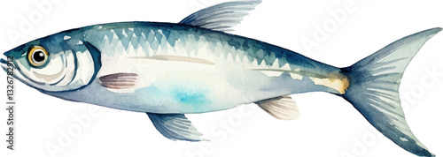 Watercolor painted fish. Hand drawn fresh seafood design element isolated on white background.