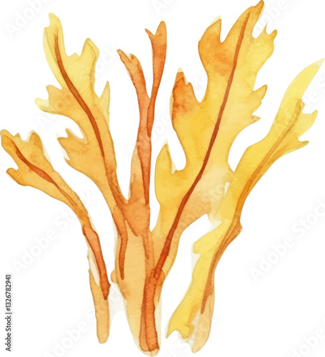 Watercolor painted seaweed. Hand drawn fresh seafood design element isolated on white background.