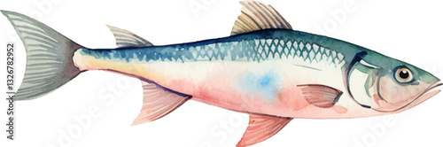 Watercolor painted fish. Hand drawn fresh seafood design element isolated on white background.