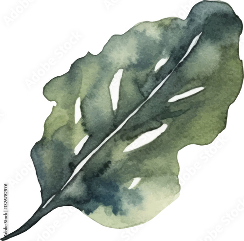 Watercolor painted seaweed. Hand drawn fresh seafood design element isolated on white background.