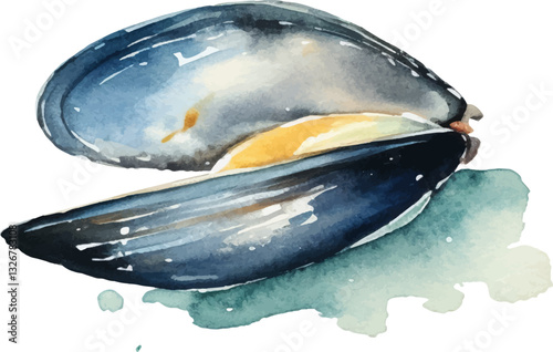Watercolor painted mussels. Hand drawn fresh seafood design element isolated on white background.