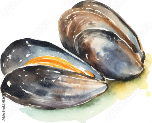 Watercolor painted mussels. Hand drawn fresh seafood design element isolated on white background.