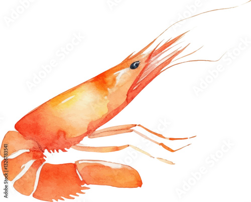 Watercolor painted shrimp. Hand drawn fresh seafood design element isolated on white background.