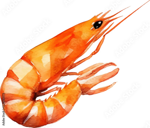 Watercolor painted shrimp. Hand drawn fresh seafood design element isolated on white background.
