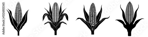 Different styles of corn illustrations showcasing growth stages and variations in design for educational purposes