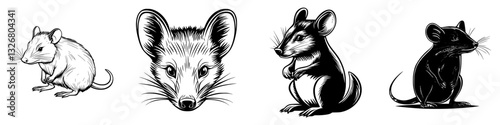 Four distinct illustrations of rodents displaying various characteristics and poses
