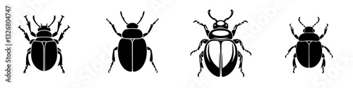 Detailed illustration of different types of beetles showing unique features and shapes in a minimalist black and white style