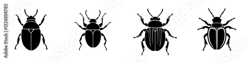 Different types of beetles displayed in a linear arrangement on a plain background for educational purposes