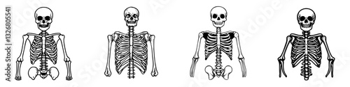 Different poses of cartoon skeletons showcasing human anatomy for educational purposes