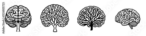 Collection of intricate brain illustrations showcasing various designs and styles in a clear monochrome aesthetic