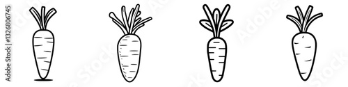 Carrots illustrated in various styles showcasing garden freshness and simplicity in design