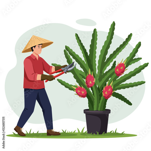 Gardener Trimming a Potted Dragon Fruit Plant with Pruning Shears