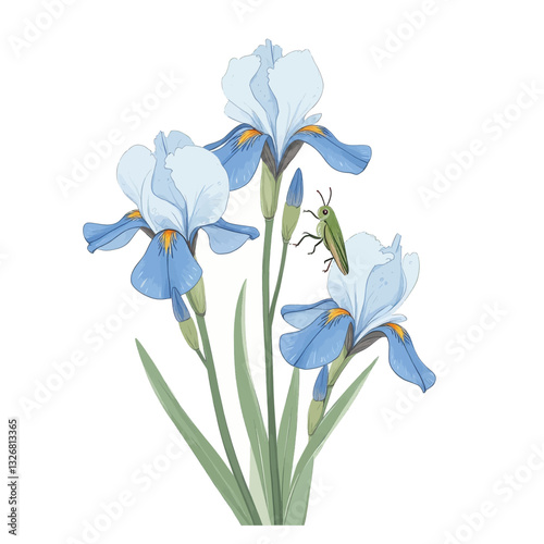 Light Blue Irises with Green Grasshopper Cartoon