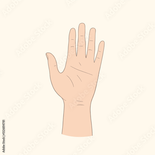 Palm reading: Open hand with visible life lines