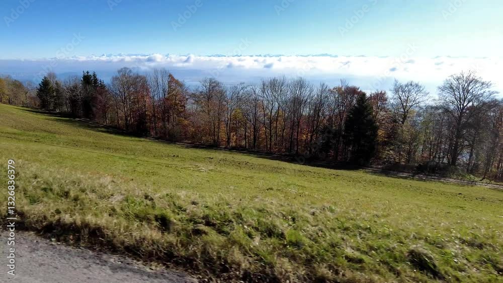 Scenic view of a forest edge in the Jura Mountains near Yverdon, Switzerland. Features autumn foliage, a grassy slope, and a distant cloud inversion. Ideal for nature, travel, or seasonal content. Scenic view of a forest edge in the Jura Mountains near Yverdon, Switzerland. Features autumn foliage, a grassy slope, and a distant cloud inversion. Ideal for nature, travel, or seasonal content.