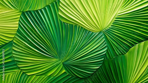 Tropical palm leaf patterns in emerald green and lime plain background