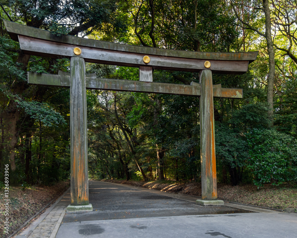 Massive wooden torii gate at Meiji Shrine in Tokyo standing at the entrance of a quiet forest path surrounded by dense green trees illuminated by soft morning sunlight Massive wooden torii gate at Meiji Shrine in Tokyo standing at the entrance of a quiet forest path surrounded by dense green trees illuminated by soft morning sunlight