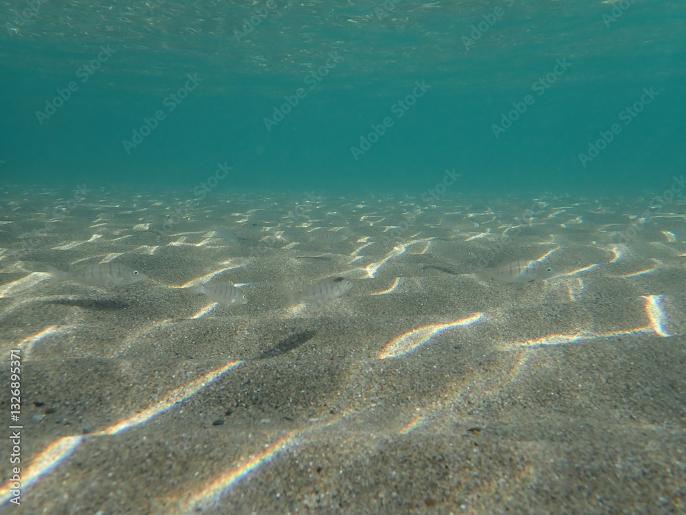 Fototapeta premium Dark blue ocean surface seen from underwater. Abstract waves underwater and rays of sunlight shining through, Sun light rays undersea deep, Underwater background with sea bottom, Mediterranean sea.