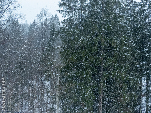 flocons de neige sur fond d'arbres