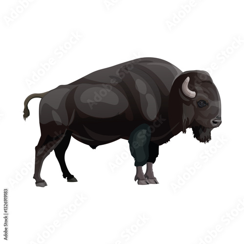 European bison or wisent. Side view. Vector illustration isolated on white background