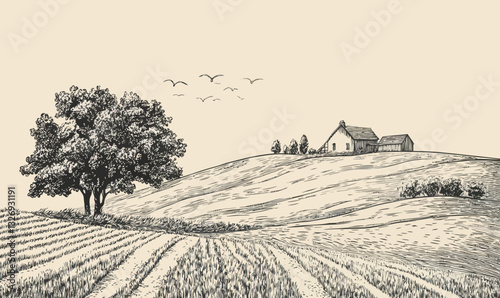 Scenic Rural Farm Landscape in Engraving Style Vector Illustration