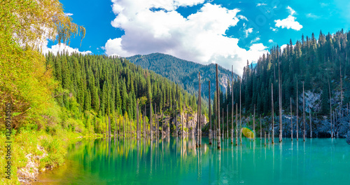 Fototapeta Naklejka Na Ścianę i Meble -  Sunken forest of Lake Kaindy in Kazakhstan. Beautiful mountain natural landscape. A blue lake with tree trunks sticking out of it. Panoramic view of the reserve.