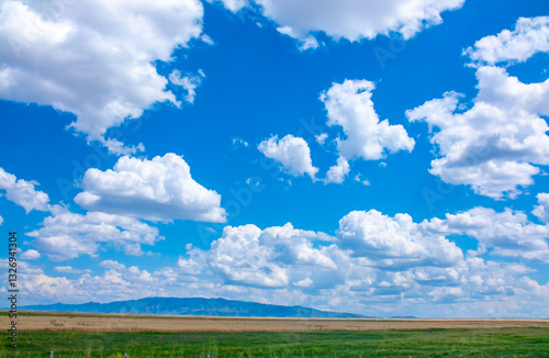 Fototapeta Naklejka Na Ścianę i Meble -  Panoramic view of sky with clouds over green field. Beautiful landscape with fluffy clouds.