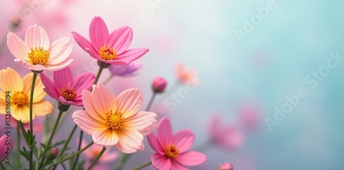 Vibrant spring flowers blooming with pink, yellow, and purple petals on a soft pastel background, purple, vibrant, abstract
