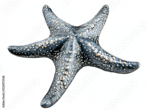 Detailed Blue Starfish with Gold Speckling on White