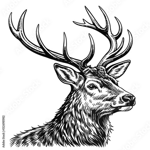 black and white ink illustration of a majestic deer with intricate antlers