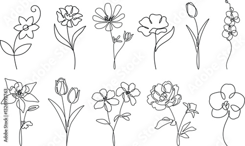 Flowers drawing collection elegance one continuous line art. 
