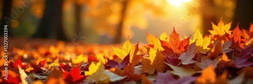 Crisp autumn day, sun flares illuminate colorful leaf pile , photo, park