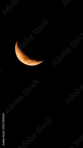 moon in the night