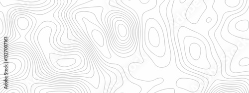 Abstract topography pattern seamless lines sea map modern design white background. Abstract digital topographic contour map concept space geometric strip grid line. Natural discovery of maps.