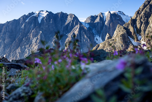 Wallpaper Mural Lilac flowers on a mountaintop amidst rocks and glaciers. Horizontal photos of beautiful nature.  Torontodigital.ca