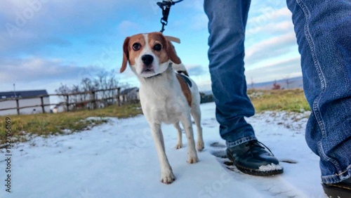 A man walks his dog through a snowy landscape. Dog on a walk in melting snow. The concept of walking a dog and the friendship of a dog master