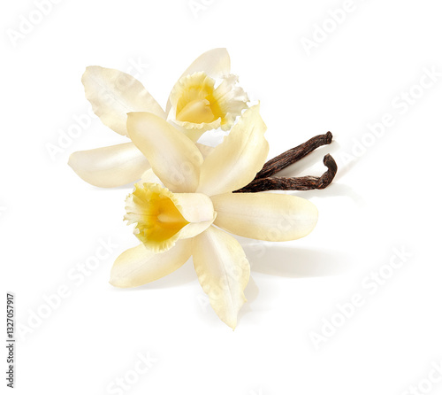 FLOR DE BAUNILHA photo