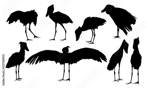 Shoebill silhouette set. Realistic large water bird of East Africa. Vector animal