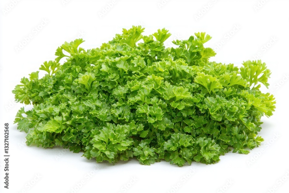 Bright flat lay showcasing fresh curly parsley bunch on white background close up studio shot vibrant green hue for culinary concepts Bright flat lay showcasing fresh curly parsley bunch on white background close up studio shot vibrant green hue for culinary concepts