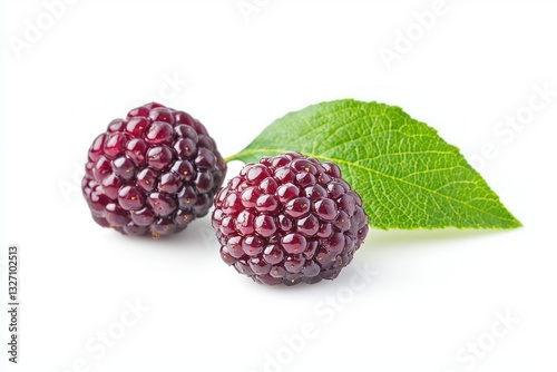 Pair of fresh dewberries in vibrant color showcasing their juicy texture with natural leaf isolated on white