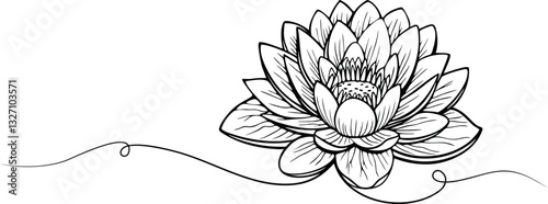 lotus lineart vector on transparent background