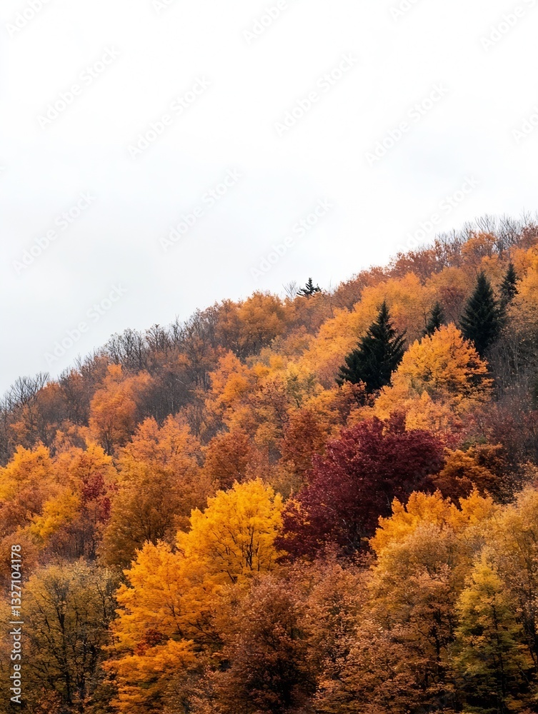 Vibrant autumn foliage painting a hillside with colors of fall creating a picturesque landscape : Generative AI Vibrant autumn foliage painting a hillside with colors of fall creating a picturesque landscape : Generative AI